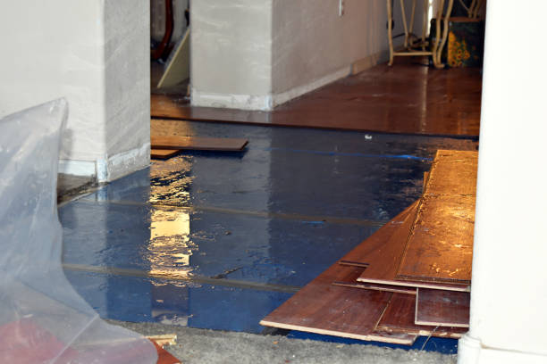 Professional Basement Water Removal technician working in Hadley, MA